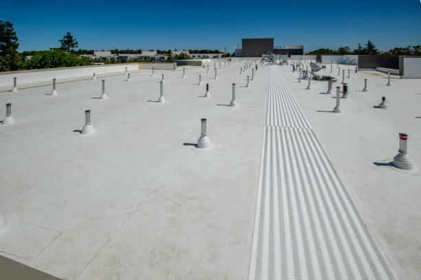Best Roof Insulation Installation  in Marfa, TX